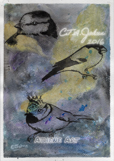 Galaxy Birds Watercolour