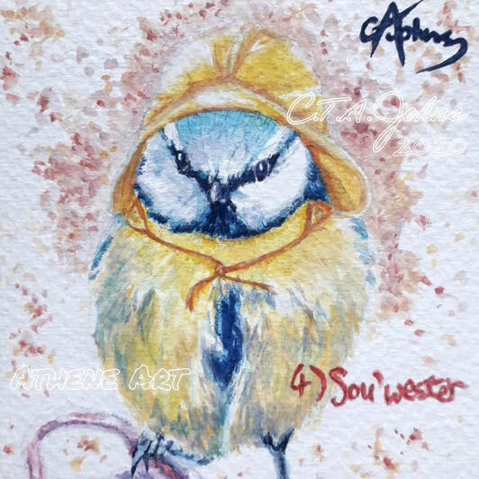 Blue Tit in Sou'wester | Watercolour