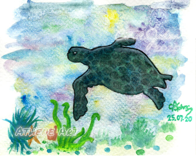 Sea Turtle